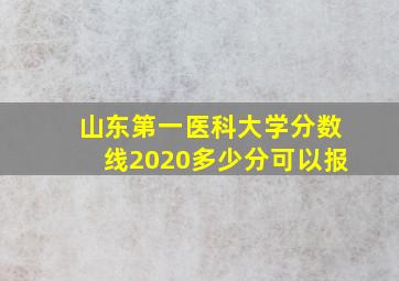 山东第一医科大学分数线2020多少分可以报