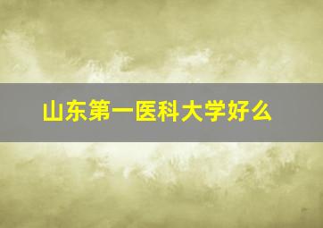 山东第一医科大学好么