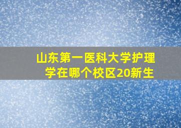 山东第一医科大学护理学在哪个校区20新生