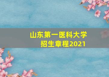 山东第一医科大学招生章程2021