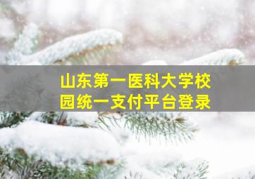 山东第一医科大学校园统一支付平台登录