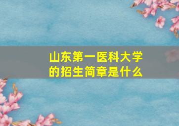 山东第一医科大学的招生简章是什么