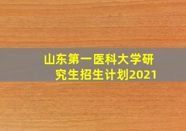 山东第一医科大学研究生招生计划2021