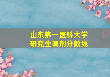 山东第一医科大学研究生调剂分数线