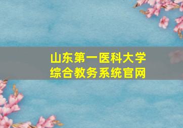 山东第一医科大学综合教务系统官网