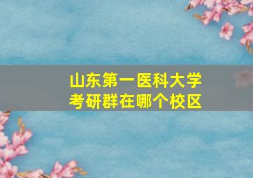 山东第一医科大学考研群在哪个校区