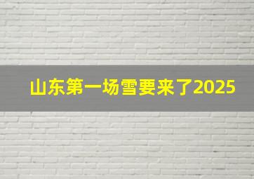 山东第一场雪要来了2025