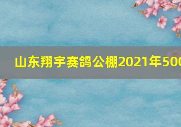 山东翔宇赛鸽公棚2021年500