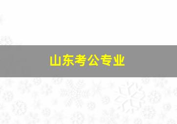 山东考公专业