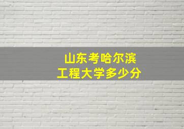 山东考哈尔滨工程大学多少分