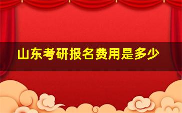 山东考研报名费用是多少