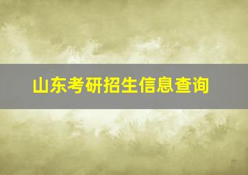 山东考研招生信息查询