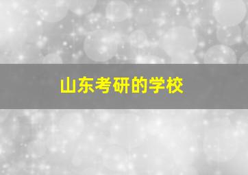 山东考研的学校