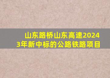 山东路桥山东高速20243年新中标的公路铁路项目