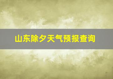 山东除夕天气预报查询