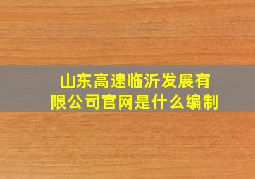 山东高速临沂发展有限公司官网是什么编制