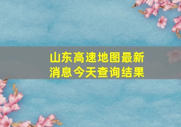 山东高速地图最新消息今天查询结果