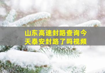 山东高速封路查询今天泰安封路了吗视频