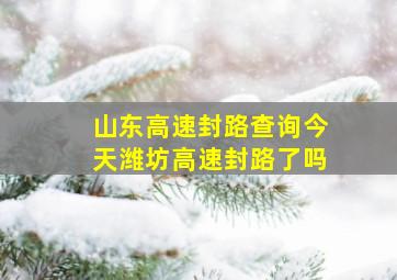 山东高速封路查询今天潍坊高速封路了吗