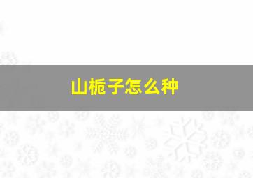 山栀子怎么种