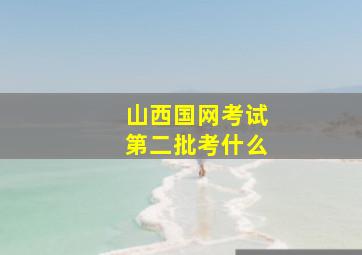 山西国网考试第二批考什么