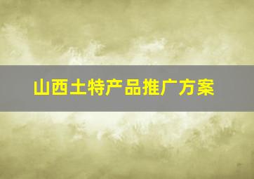 山西土特产品推广方案