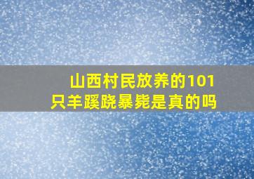 山西村民放养的101只羊蹊跷暴毙是真的吗