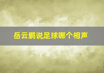 岳云鹏说足球哪个相声