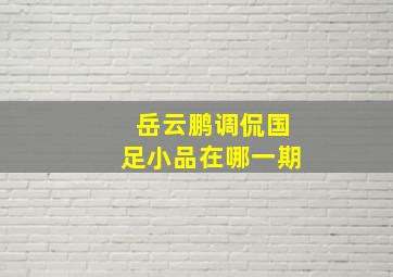 岳云鹏调侃国足小品在哪一期