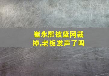 崔永熙被篮网裁掉,老板发声了吗