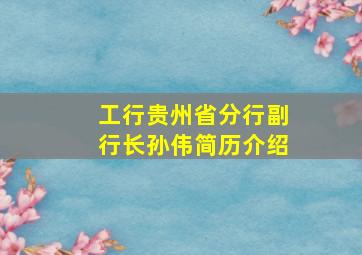 工行贵州省分行副行长孙伟简历介绍