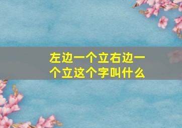 左边一个立右边一个立这个字叫什么