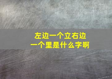 左边一个立右边一个里是什么字啊