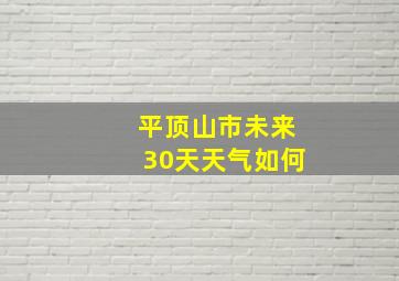 平顶山市未来30天天气如何