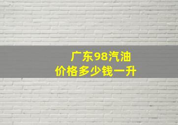 广东98汽油价格多少钱一升