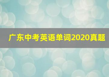 广东中考英语单词2020真题