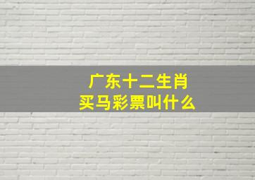 广东十二生肖买马彩票叫什么