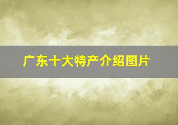 广东十大特产介绍图片