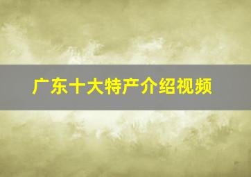 广东十大特产介绍视频