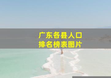 广东各县人口排名榜表图片