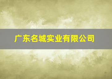 广东名城实业有限公司