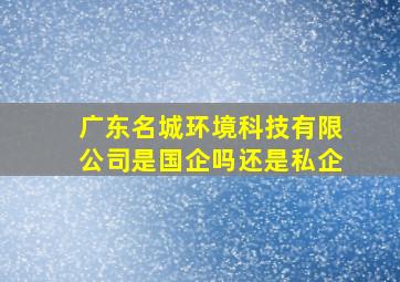 广东名城环境科技有限公司是国企吗还是私企