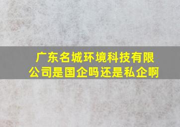 广东名城环境科技有限公司是国企吗还是私企啊