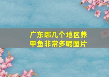 广东哪几个地区养甲鱼非常多呢图片