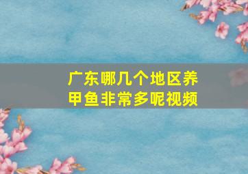 广东哪几个地区养甲鱼非常多呢视频