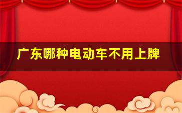 广东哪种电动车不用上牌