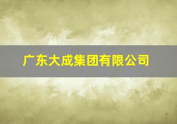 广东大成集团有限公司