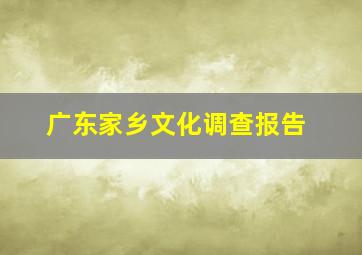 广东家乡文化调查报告