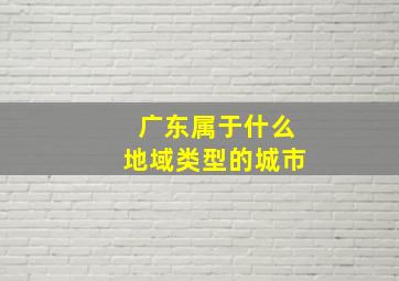 广东属于什么地域类型的城市