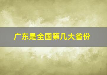 广东是全国第几大省份